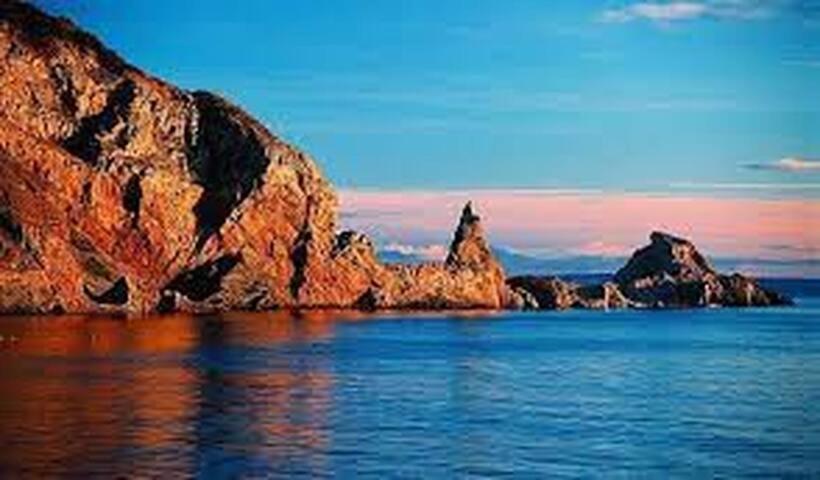Halekulani Devon Homestay Torquay Esterno foto
