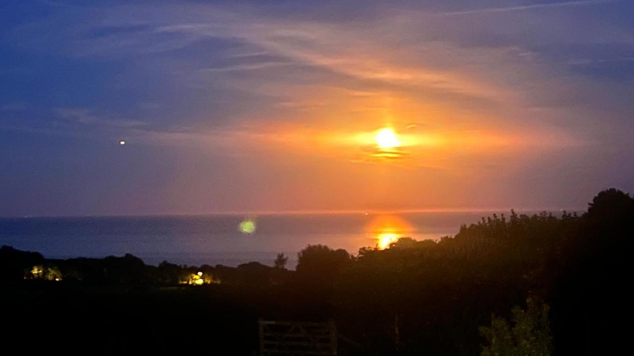Halekulani Devon Homestay Torquay Esterno foto
