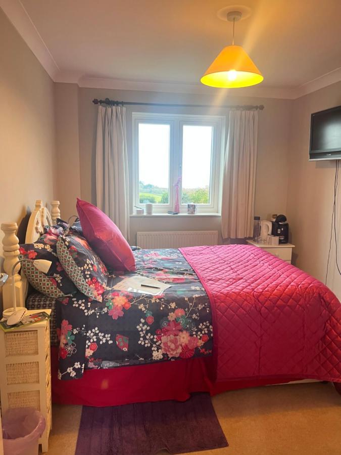 Halekulani Devon Homestay Torquay Esterno foto